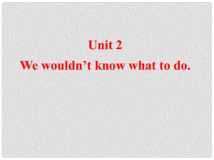 天津市梅江中學(xué)八年級(jí)英語(yǔ)下冊(cè) Module 10 My perfect holiday Unit 2 We wouldn’t know what to do.課件 外研版