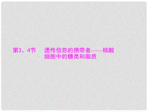 高考生物總復習 第2章 第3、4節(jié) 遺傳信息的攜帶者 核酸、細胞中的糖類和脂質課件 新人教版必修1