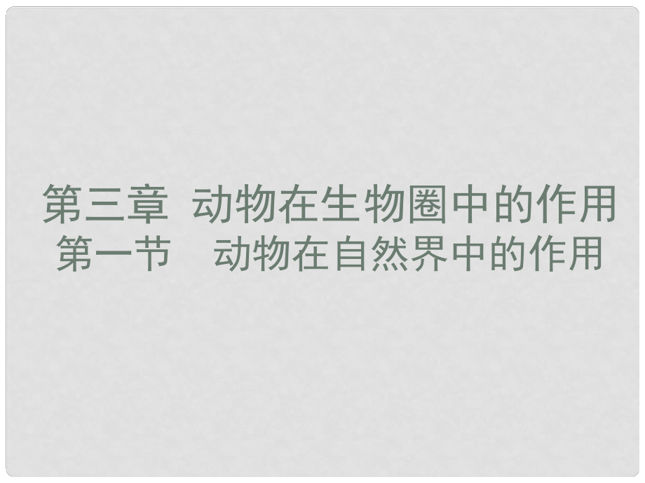 天津市葛沽第三中學(xué)八年級生物上冊《動物在自然界中的作用》課件 新人教版_第1頁