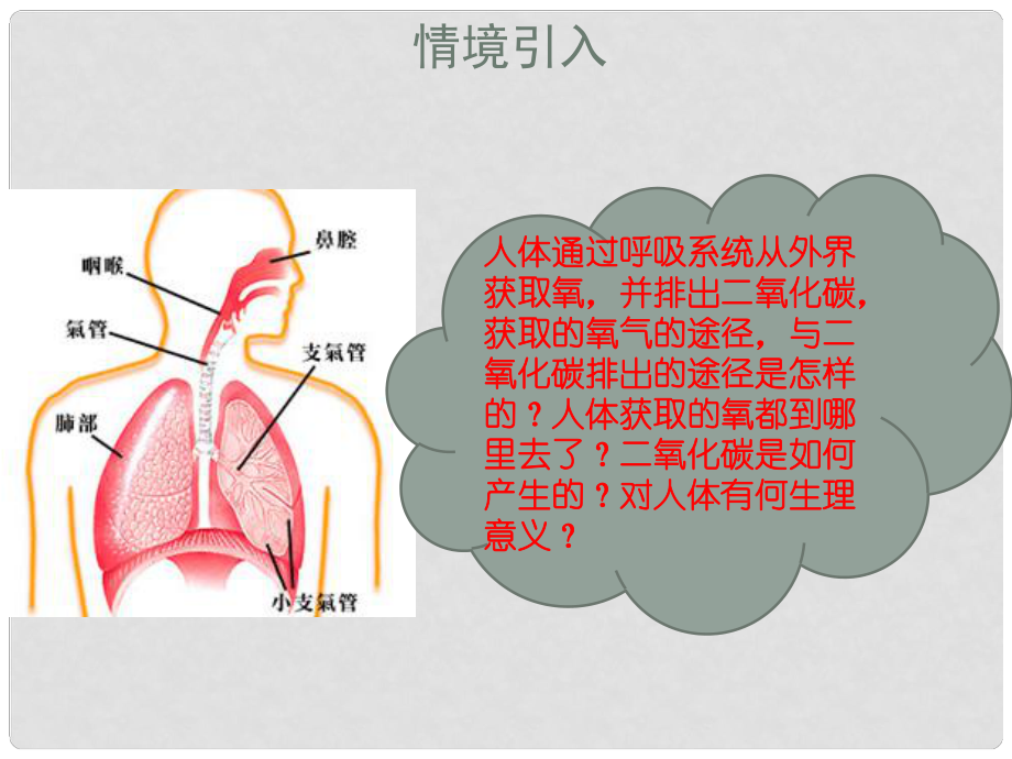 七年級(jí)生物下冊(cè) 第四單元 第三章 人體的呼吸復(fù)習(xí)課件 新人教版_第1頁(yè)