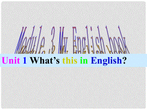 廣東省佛山市中大附中三水實(shí)驗(yàn)中學(xué)七年級英語上冊 Starter Module 3 My English book Unit 1 What’s this in English課件2 （新版）外研版