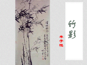 重慶市涪陵區(qū)中峰初級中學(xué)七年級語文下冊《第18課 竹影》課件 新人教版