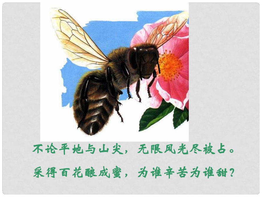 山東省德州市夏津?qū)嶒?yàn)中學(xué)八年級生物上冊 1.2 傳粉與受精課件 濟(jì)南版_第1頁