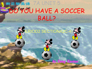 七年級(jí)英語上冊(cè) Unit 5 Do you have a soccer ball Period2課件 人教新目標(biāo)版