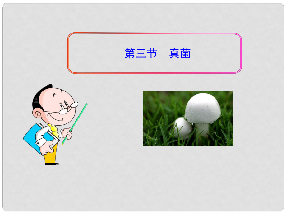 八年级生物上册 第五单元 第四章 第三节 真菌课件 新人教版_第1页