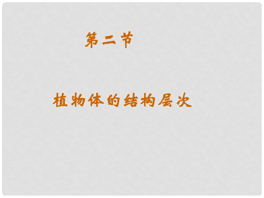 七年級生物上冊 植物體的結(jié)構(gòu)層次課件 人教新課標版_第1頁