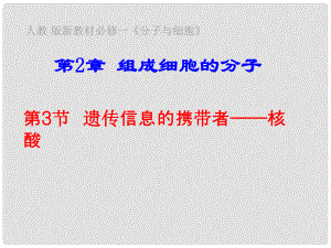 江西省南昌市灣里一中高中生物 第二章 第三節(jié) 遺傳信息的攜帶者 核酸課件 新人教版必修1