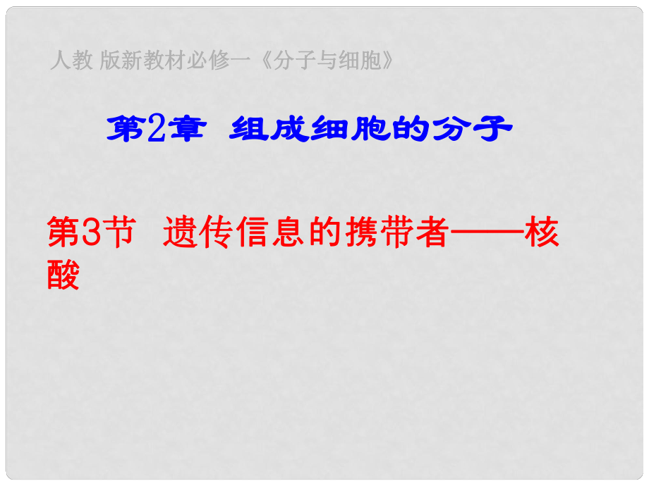 江西省南昌市灣里一中高中生物 第二章 第三節(jié) 遺傳信息的攜帶者 核酸課件 新人教版必修1_第1頁(yè)