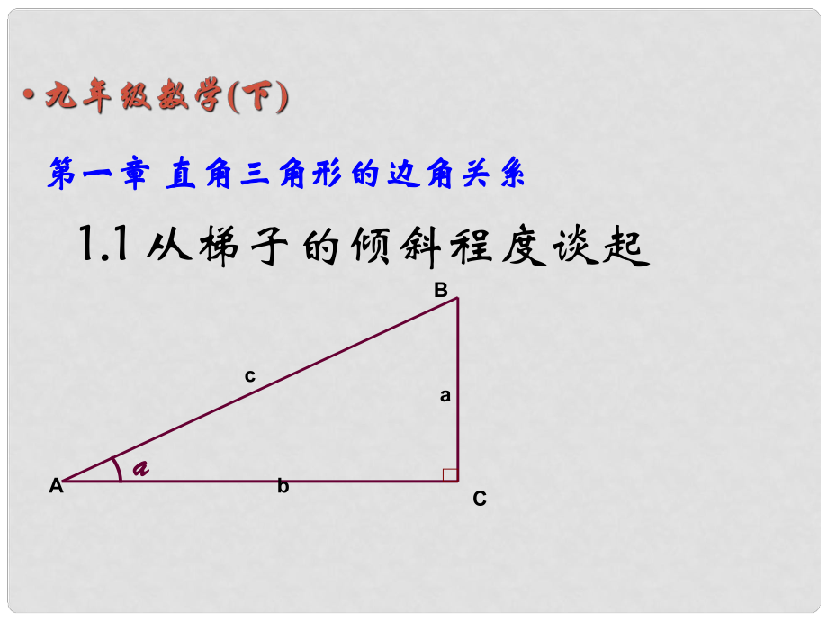 甘肅省張掖市臨澤縣第二中學(xué)九年級(jí)數(shù)學(xué)下冊(cè) 第一章《直角三角形的邊角關(guān)系》課件1 北師大版_第1頁(yè)