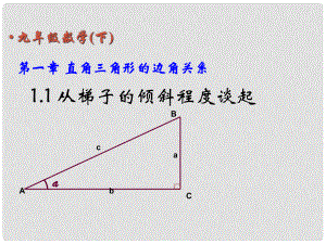 甘肅省張掖市臨澤縣第二中學(xué)九年級(jí)數(shù)學(xué)下冊(cè) 第一章《直角三角形的邊角關(guān)系》課件1 北師大版