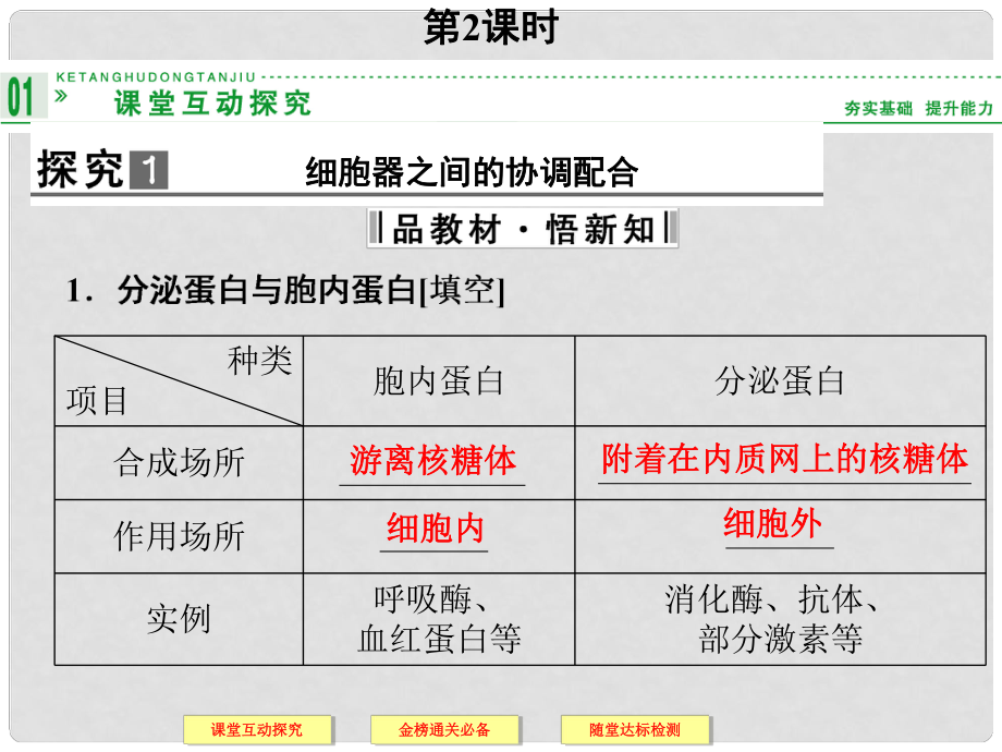 高中生物上篇 第3章 第2节第2课时细胞器之间的协调配合课件 新人教版必修1_第1页