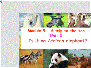 浙江省海鹽縣七年級(jí)英語(yǔ) Module 9 Unit 2 Is it an African elephant課件 人教新目標(biāo)版