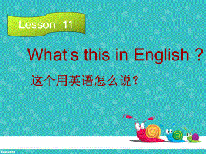 科普版英語四上Lesson 11What’s this in English課件3