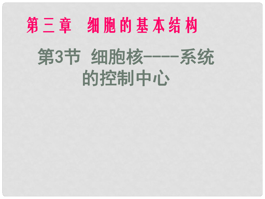 高中生物 細胞核—系統(tǒng)的控制中心課件 新人教必修1_第1頁