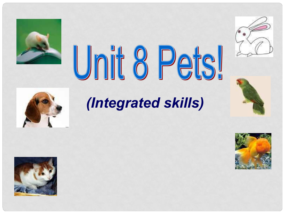 江蘇省宜興市屺亭中學(xué)七年級(jí)英語(yǔ)下冊(cè) 7B Unit 8 Pets Intergrated skills課件 （新版）牛津版_第1頁(yè)