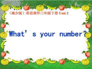 三年級英語下冊 Unit 2 What is your number課件 湘少版