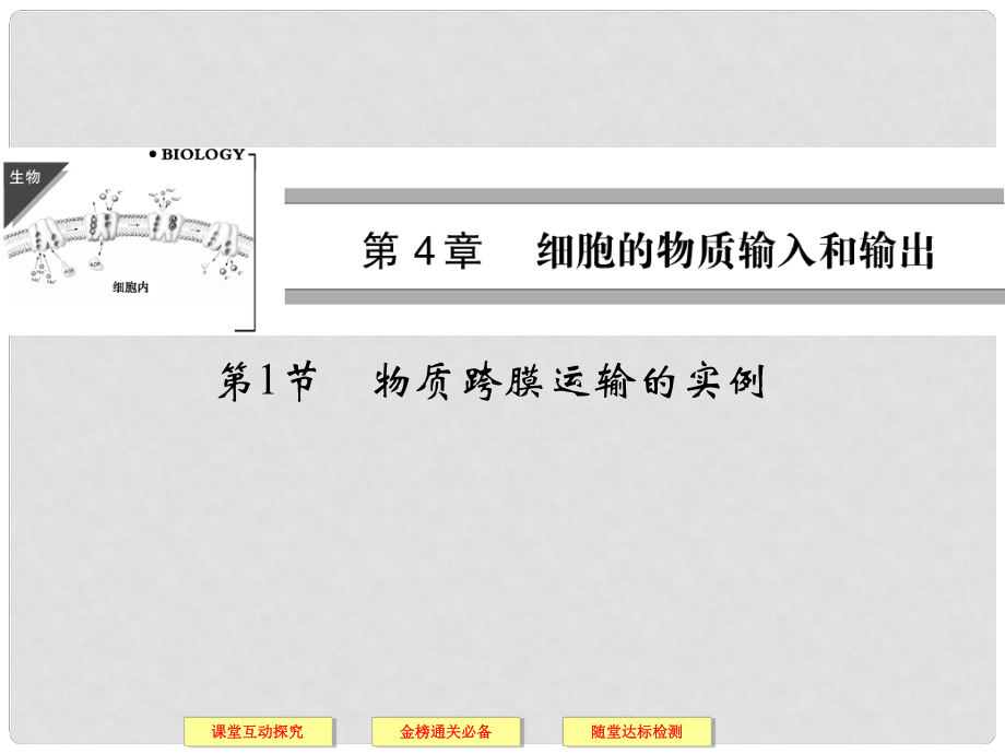 高中生物上篇 第4章 第1节物质跨膜运输的实例课件 新人教版必修1_第1页