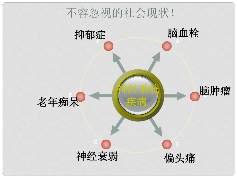 八年級(jí)生物上冊(cè) 第15章 第1節(jié) 人體的神經(jīng)調(diào)節(jié)課件 蘇科版_第1頁(yè)