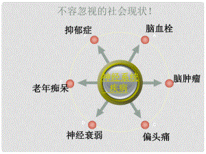 八年級(jí)生物上冊(cè) 第15章 第1節(jié) 人體的神經(jīng)調(diào)節(jié)課件 蘇科版