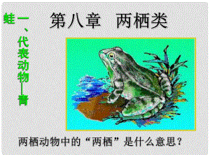 河北省高阳县宏润中学八年级生物上册《第五单元 第一章 第五节 两栖动物》课件 新人教版