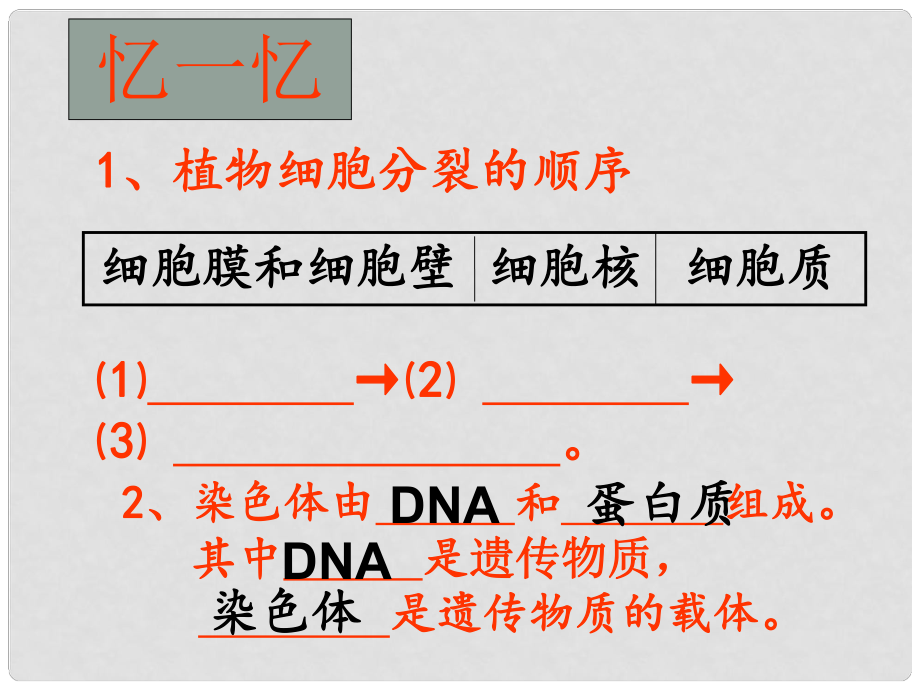 內(nèi)蒙古鄂爾多斯市康巴什新區(qū)第二中學(xué)七年級生物上冊 第二單元 第二章《第二節(jié) 動物體的結(jié)構(gòu)層次》課件1 新人教版_第1頁