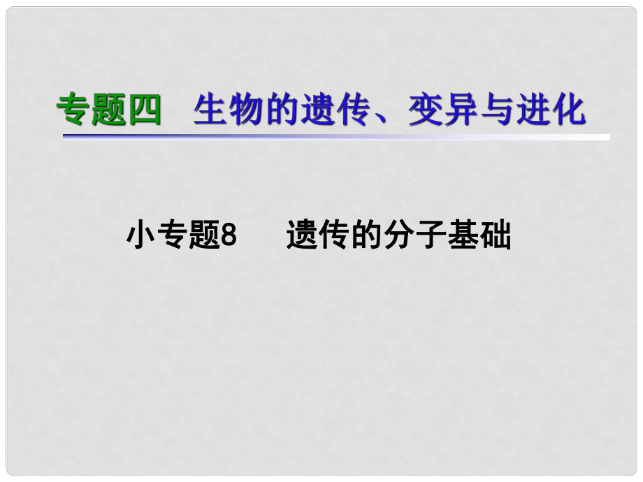 湖南生物復(fù)習(xí)二輪課件 專題4.8遺傳的分子基礎(chǔ)_第1頁