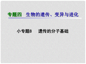 湖南生物復(fù)習(xí)二輪課件 專題4.8遺傳的分子基礎(chǔ)