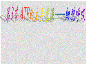高中生物《第五章 第三節(jié) ATP的主要來(lái)源 細(xì)胞呼吸》課件 新人教版必修1
