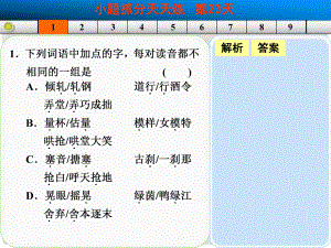 山東省高考語文大一輪復(fù)習(xí)講義 小題抓分天天練 第23天課件 魯人版