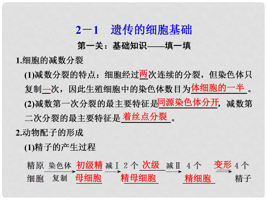 高考生物大二輪專題復(fù)習(xí)與增分策略（技能+規(guī)范+回扣）第二篇 21遺傳的細(xì)胞基礎(chǔ)課件_第1頁