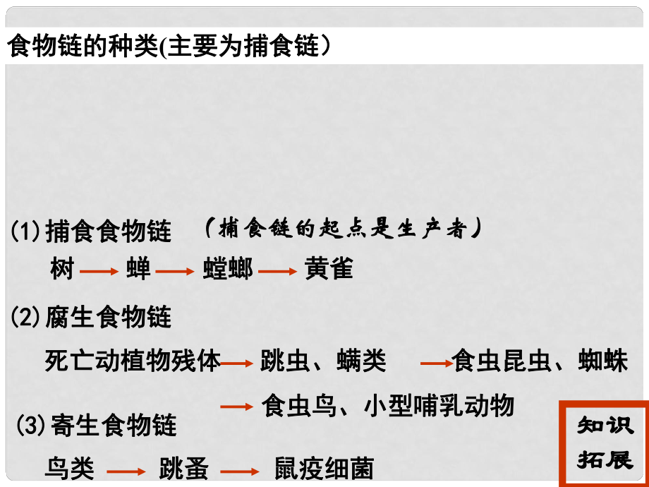 高中生物《第五章 第一節(jié) 生態(tài)系統(tǒng)的結(jié)構(gòu)》課件6 新人教版必修3_第1頁