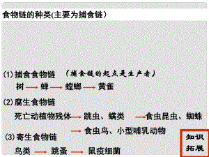 高中生物《第五章 第一節(jié) 生態(tài)系統(tǒng)的結(jié)構(gòu)》課件6 新人教版必修3