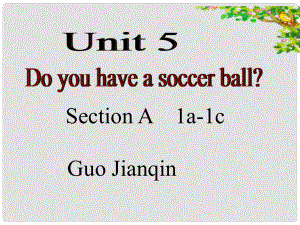 七年級(jí)英語下冊 Unit 5 Do you have a soccer ball課件 人教新目標(biāo)版