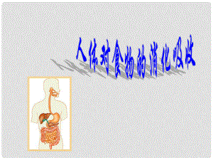 甘肅省會(huì)寧縣八年級(jí)生物上冊(cè)《人體對(duì)食物的消化吸收》課件 新人教版