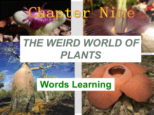 廣東省深圳市九年級(jí)英語(yǔ)全冊(cè) Chapter 9 The weird world of plants New words教學(xué)課件 牛津深圳版