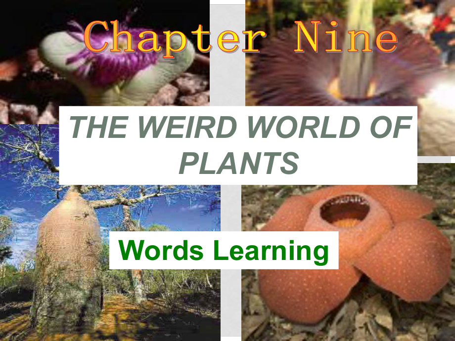 廣東省深圳市九年級英語全冊 Chapter 9 The weird world of plants New words教學課件 牛津深圳版_第1頁