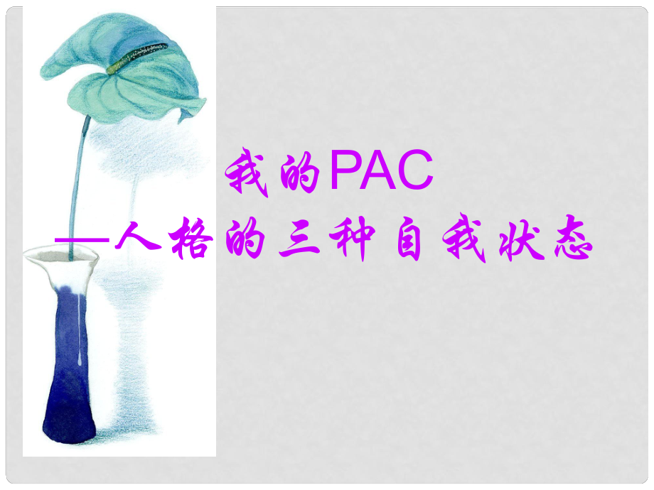 浙江省甌海區(qū)三溪中學(xué)高中體育 13《我的PAC》教學(xué)課件_第1頁(yè)