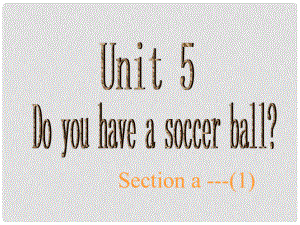 江蘇省連云港市新浦中學(xué)七年級英語上冊 Unit 5 Do you have a soccer ball課件 人教新目標(biāo)版