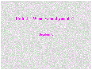 九年级英语全册 Unit 4 What would you do Section A随堂练习课件 人教新目标版