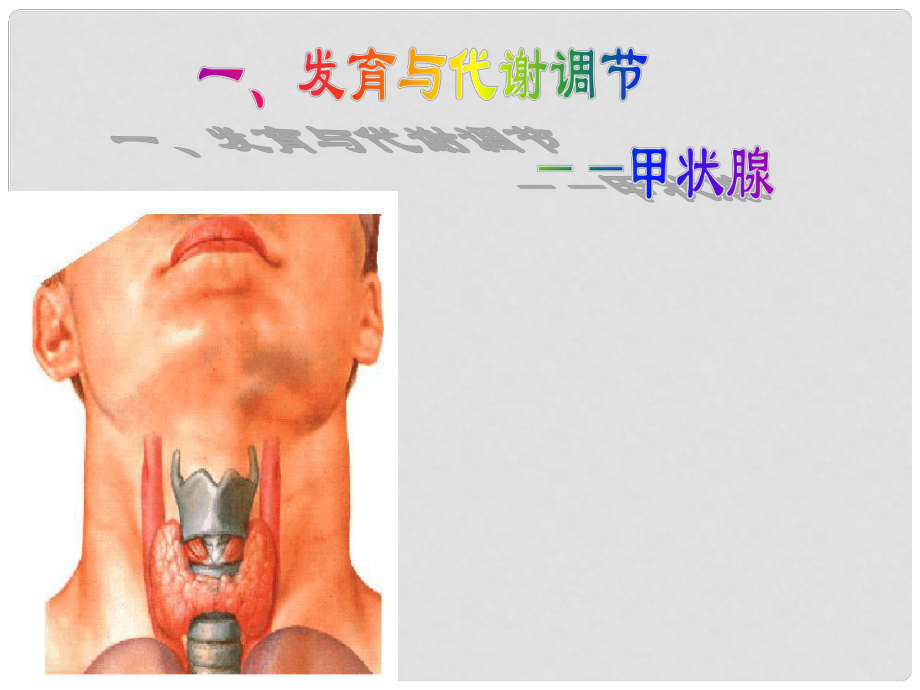 浙江省溫州市高二生物 第3節(jié) 高等動(dòng)物的內(nèi)分泌系統(tǒng)與體液調(diào)節(jié)（第2課時(shí)）課件_第1頁(yè)