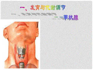 浙江省溫州市高二生物 第3節(jié) 高等動(dòng)物的內(nèi)分泌系統(tǒng)與體液調(diào)節(jié)（第2課時(shí)）課件