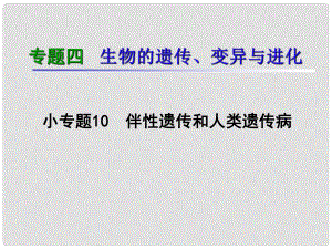 湖南生物復(fù)習(xí)二輪課件 專題4.10伴性遺傳和人類遺傳病