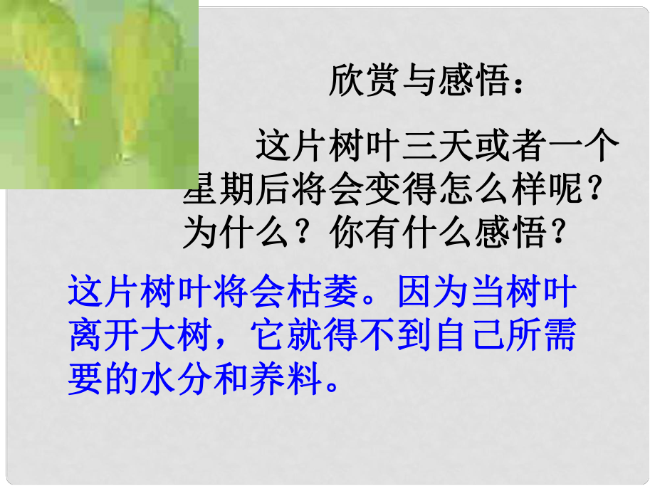 七年級政治上冊 第一單元第一課 珍惜新起點 第一框 創(chuàng)建新集體課件 新人教版_第1頁