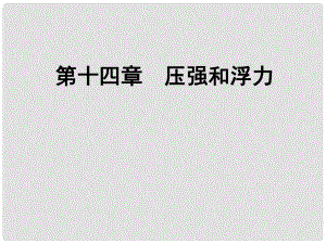 湖北省隨州市曾都區(qū)府河鎮(zhèn)中心學校九年級物理全冊《第14章 壓強和浮力》復習課件 新人教版