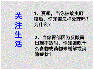 天津市寶坻區(qū)第六中學(xué)九年級(jí)化學(xué)下冊 第十單元 課題2 酸和堿之間會(huì)發(fā)生什么反應(yīng)課件 新人教版