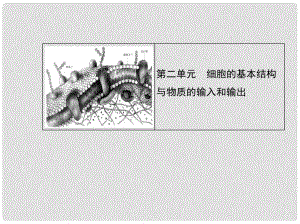 高考生物一輪復習用書（教材詮釋+重點突破+課時訓練）第二單元 第一課時 細胞膜—系統(tǒng)的邊界課件 新人教版