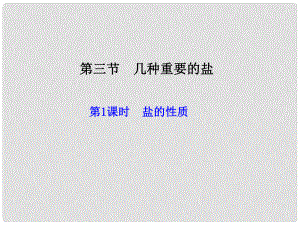 福建省永定縣坎市中學九年級化學全冊 第7章 第3節(jié) 第1課時 鹽的化學性質(zhì)課件 滬教版