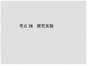 廣東省河源市中英文實驗學校中考化學考點復習28 探究實驗課件