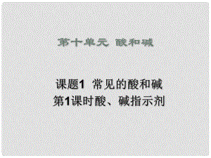 山東省郯城實(shí)驗(yàn)中學(xué)九年級(jí)化學(xué)下冊(cè) 第十單元《課題1 常見(jiàn)的的酸和堿》課件 （新版）新人教版