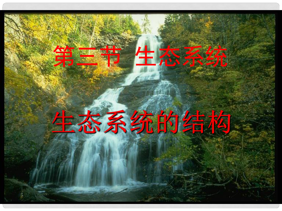 高中生物《第五章 第一節(jié) 生態(tài)系統(tǒng)的結(jié)構(gòu)》課件2 新人教版必修3_第1頁